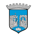 trondheim.kommune.no icon
