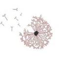 valentinacruciani.com icon
