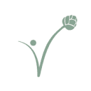victoriacruz.com.ar icon