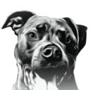 walterbuilds.com icon