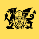 welshviking.com icon