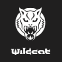 wildcat-piercing.ie icon