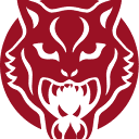 wildcat.ie icon