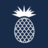 williampitt.com icon