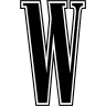wmagazine.com icon