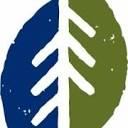 wsartwalk.org icon