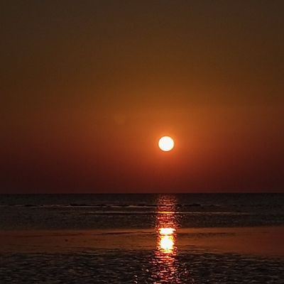 luffy's profile photo